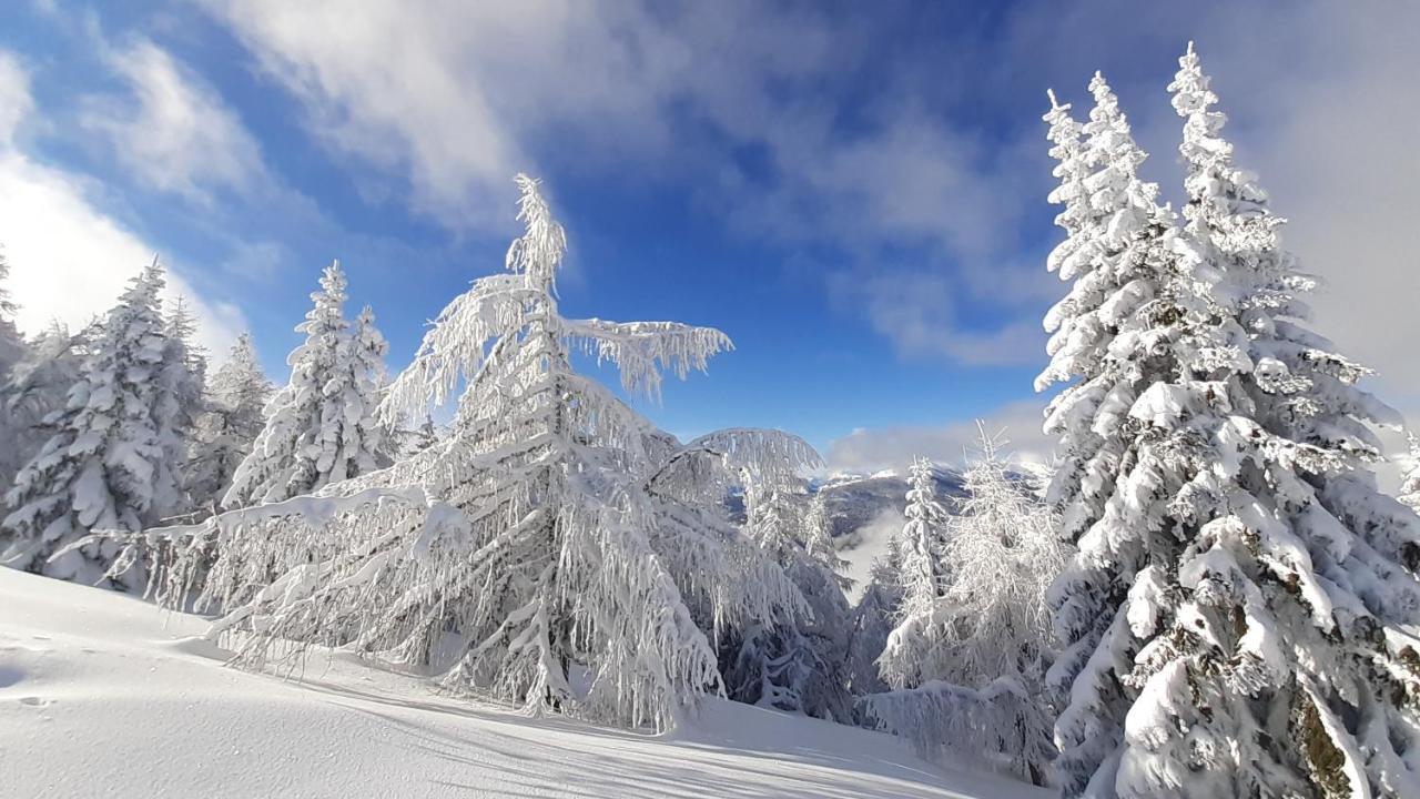 Chalet Verdino Bad Kleinkirchheim Esterno foto