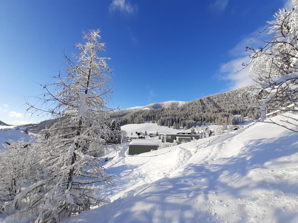 Chalet Verdino Bad Kleinkirchheim Esterno foto